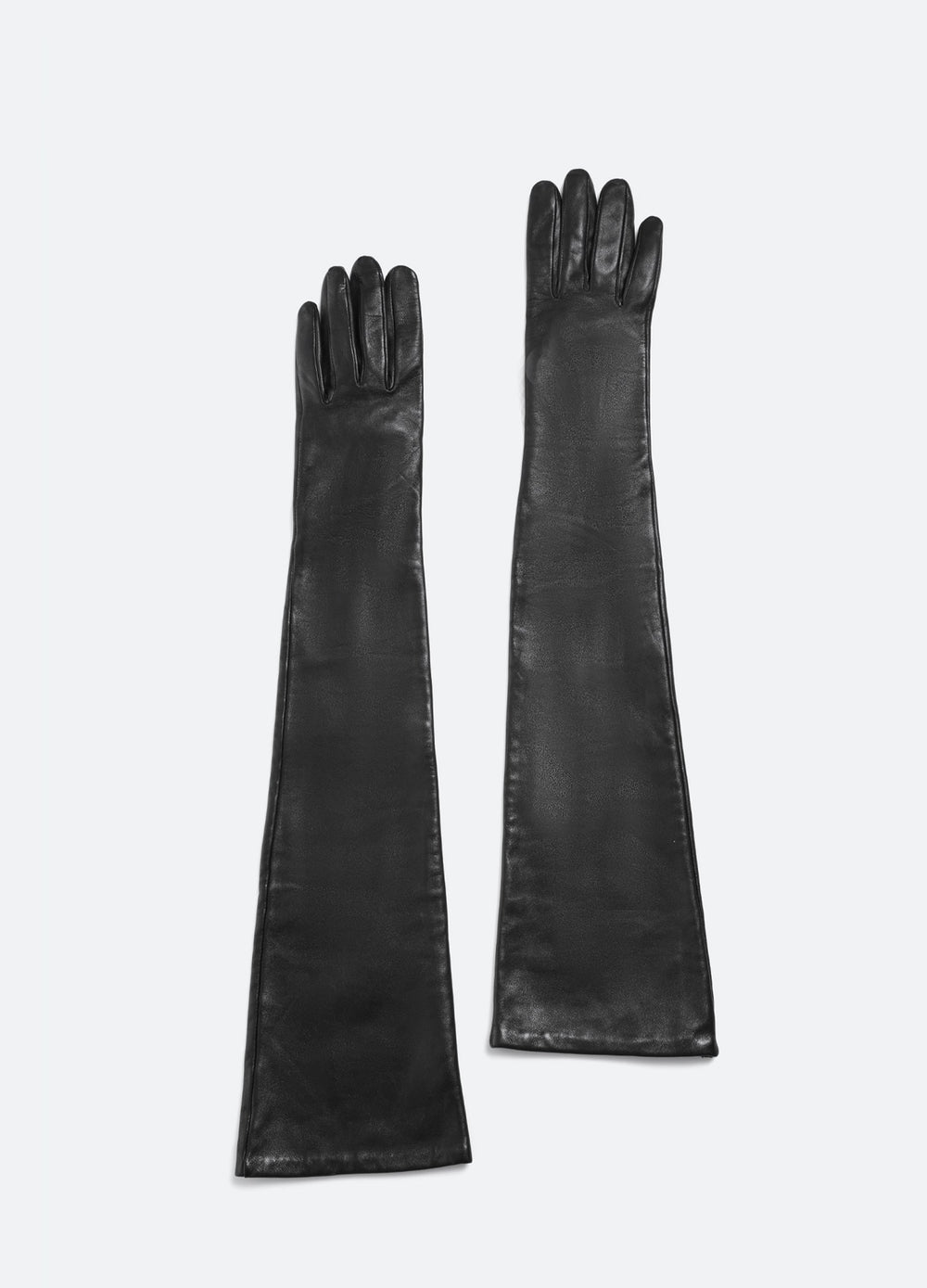 Regina Gloves